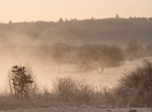 Europe, Germany, Hesse, Lahn-Dill-Bergland Nature Park, morning atmosphere at the Aartalsee near Bischoffen Europe, Germany, Hesse, Lahn-Dill-Bergland Nature Park, morning atmosphere at the Aartalsee near Bischoffen